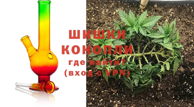 Бошки Шишки конопля  Кировск 